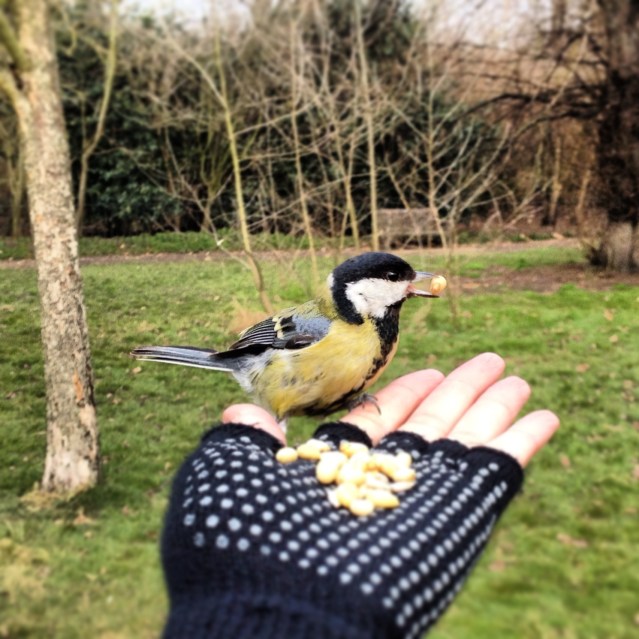 I loved feeding these cuties!