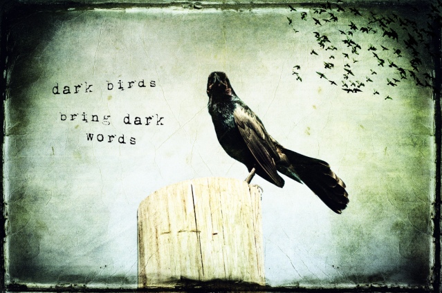 Dark Birds Bring Dark Words