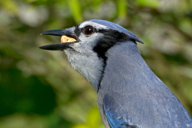 Showin' off the Crop