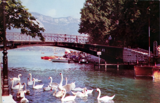 Swans on Le Pont des Amours