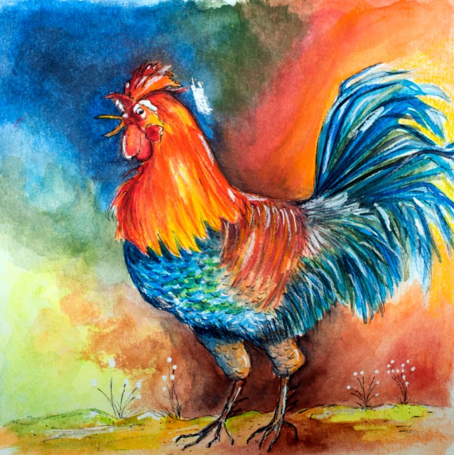 Colorful Rooster